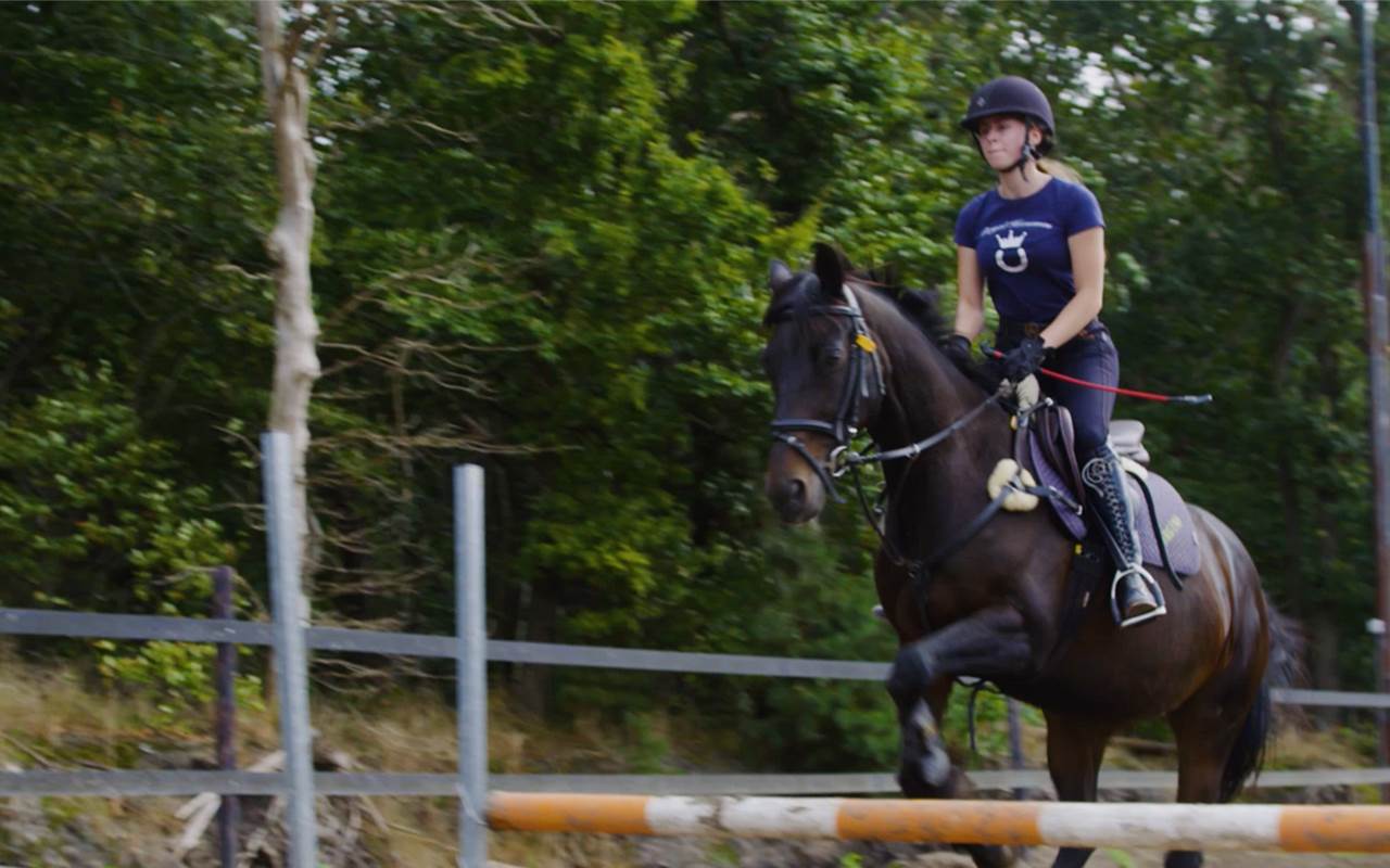 trimmen Smederij Ongelijkheid Opleiding paardensport en -houderij: leer over paarden | Curio