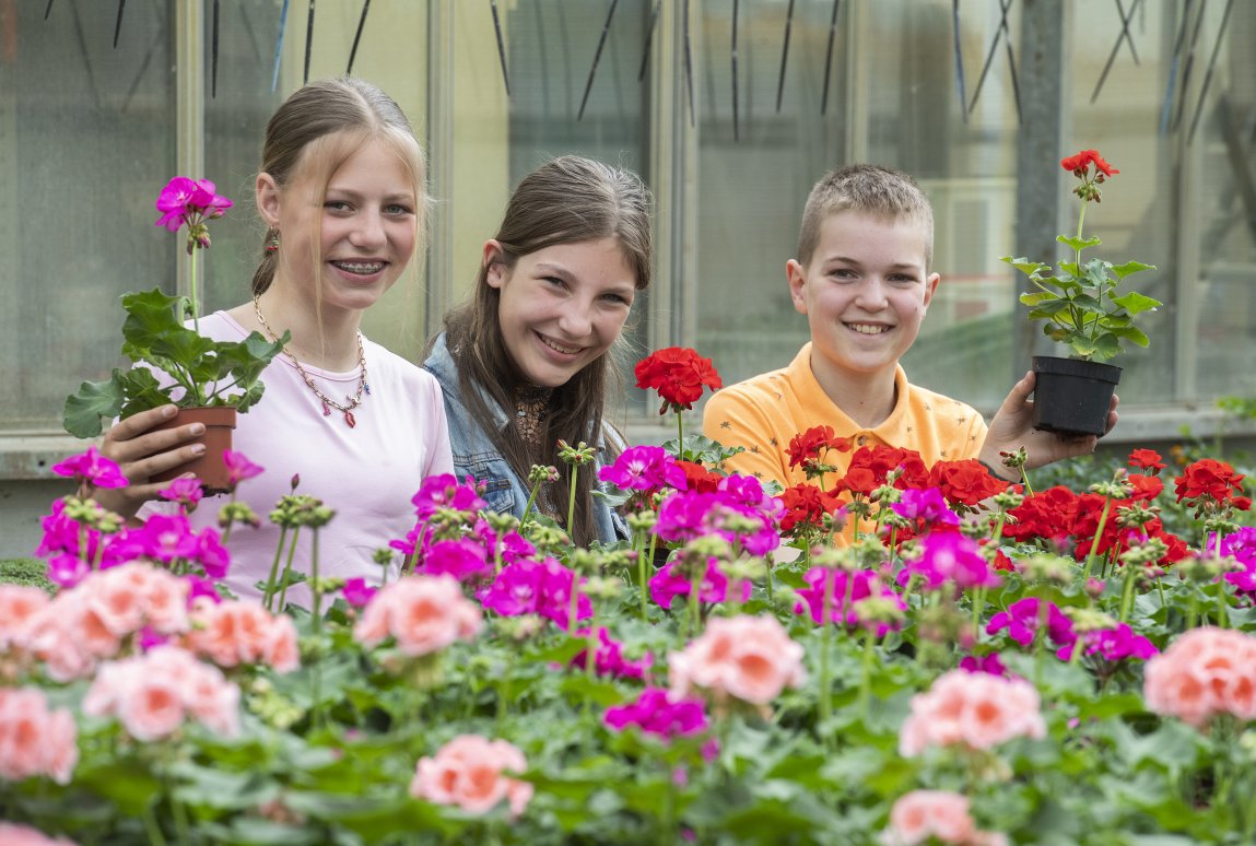 Curio prinsentuin Andel 