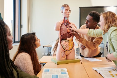 Opleiding verzorgende 