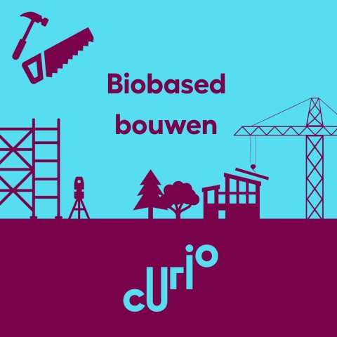 biobased bouwen