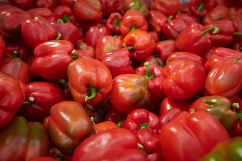 Gewasbescherming_paprikas