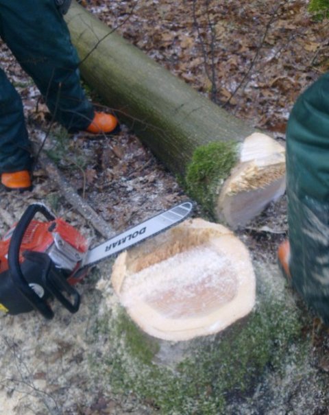 Cursus Kettingzagen NKC 3