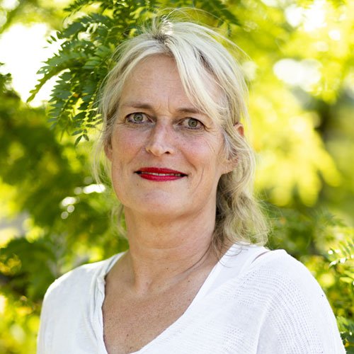 Onderwijsinnovatie leerlabs formatief handelen