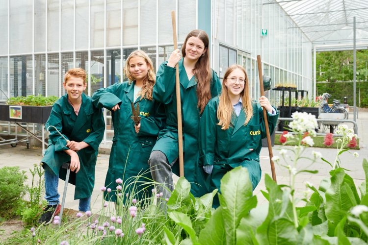 leerlingen, groen, overall