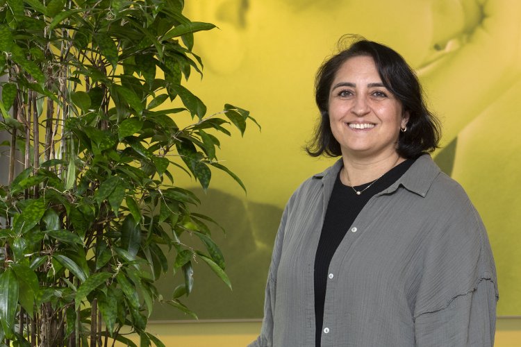 Saadet Curio practoraat