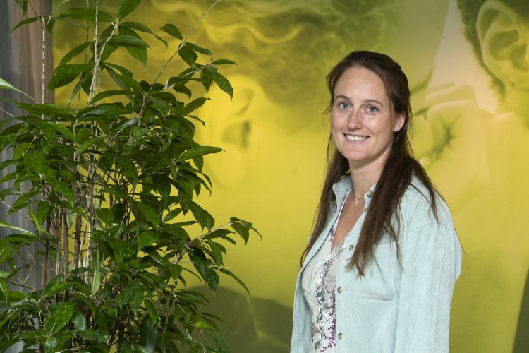 Anne Curio practoraat