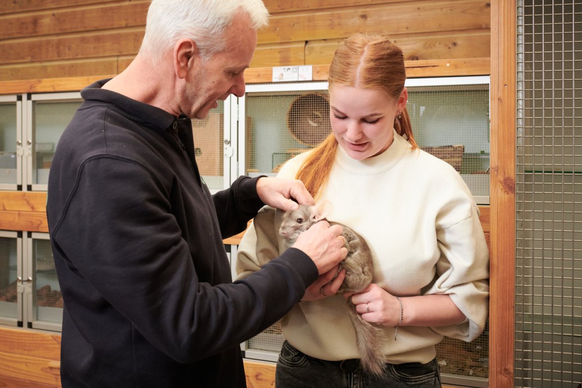 Student krijgt uitleg van een docent over de verzorging van een dier
