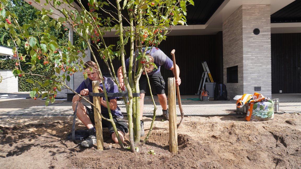 Tuin, park en landschap