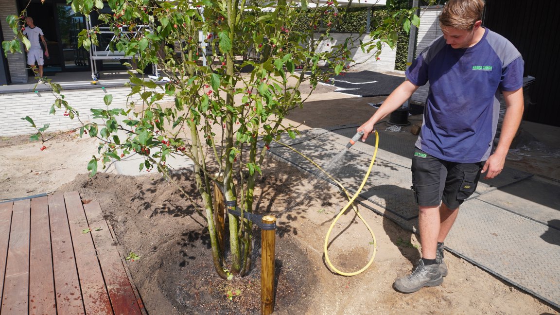 Tuin, park en landschap