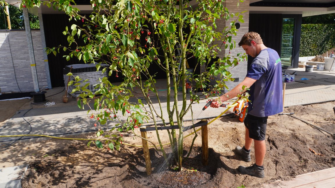 Tuin, park en landschap