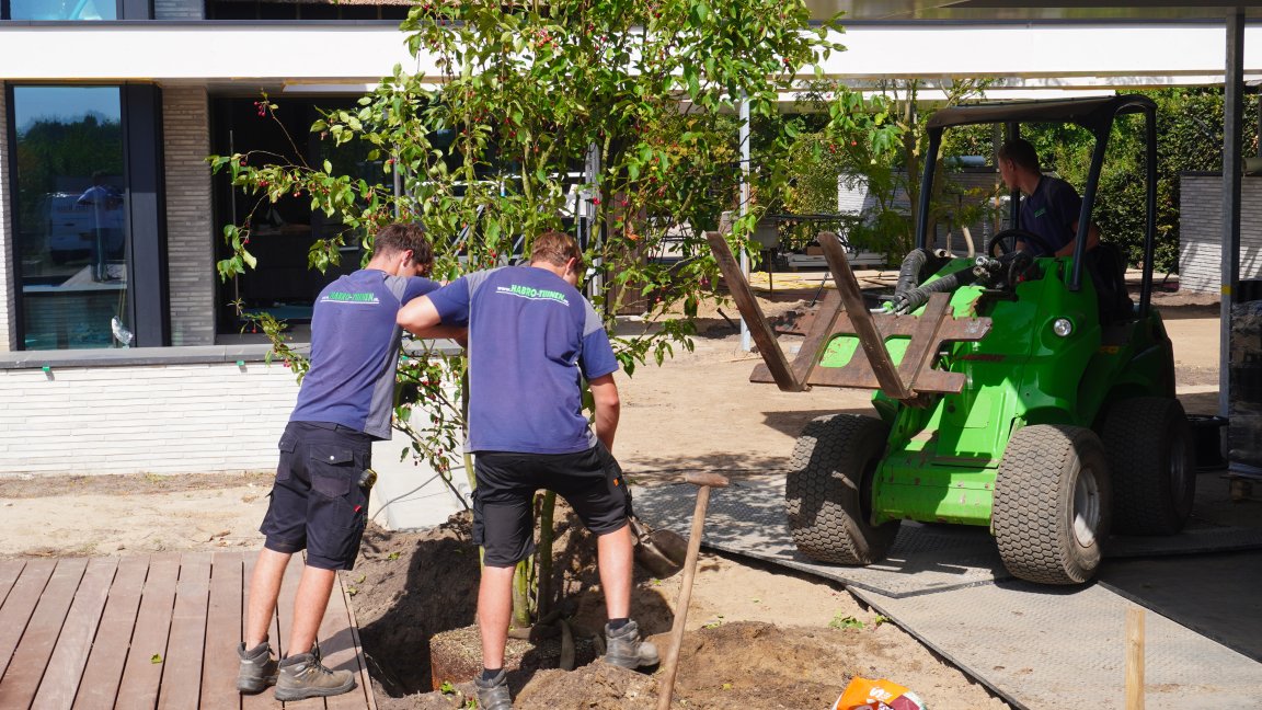 Tuin, park en landschap